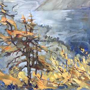 24.  Larches Above Ullswater 3